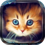 cute cats live wallpaper android application logo